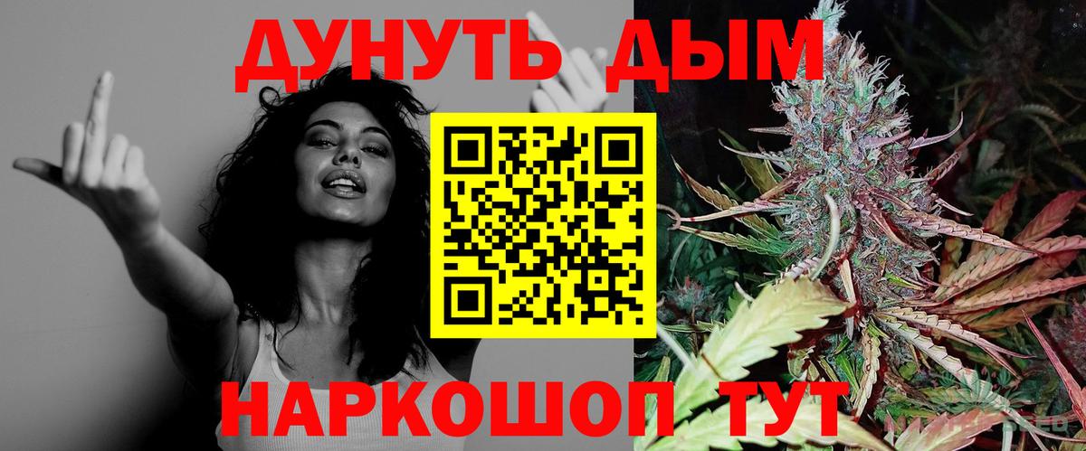 Бошки Шишки планчик Новоалександровск